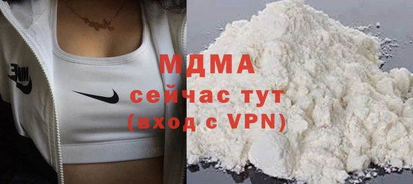 хмурый Аркадак