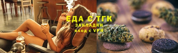 хмурый Аркадак