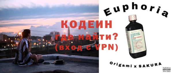 хмурый Аркадак