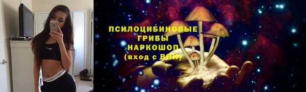 мет Арсеньев