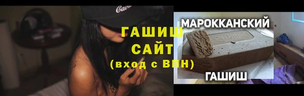 хмурый Аркадак