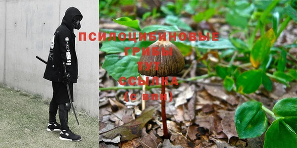 мет Арсеньев