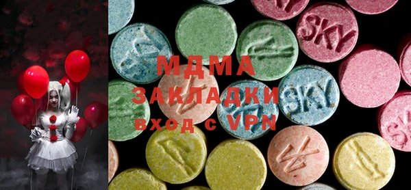 хмурый Аркадак