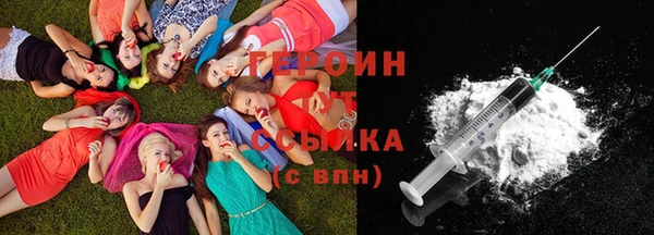 хмурый Аркадак
