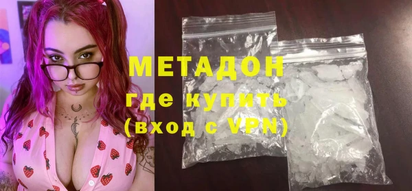 хмурый Аркадак