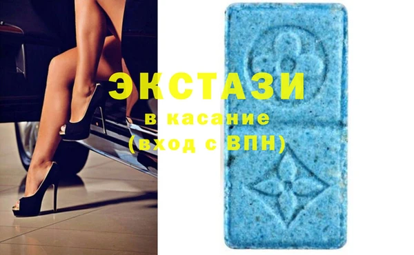 хмурый Аркадак
