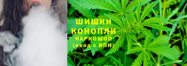 мет Арсеньев
