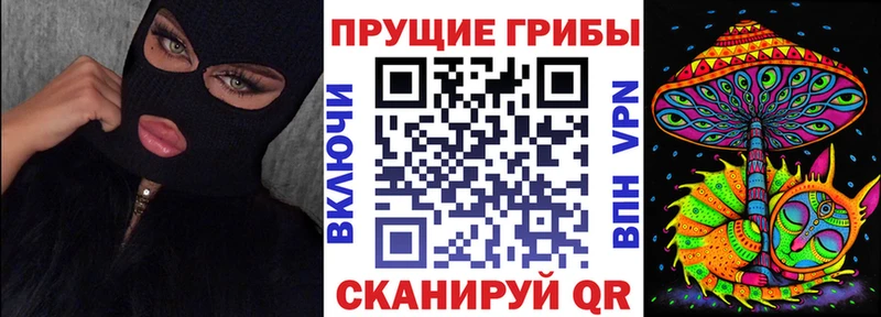 Псилоцибиновые грибы прущие грибы Исилькуль